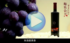 葡萄酒产品宣传片案例